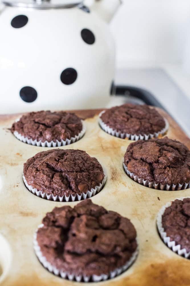 keto double chocolate chip muffins, keto double chocolate chip muffin recipe, keto coconut flour muffins, keto almond flour muffins, keto chocolate muffins, keto chocolate muffins recipe, keto almond flour muffin recipe, the hungry elephant,