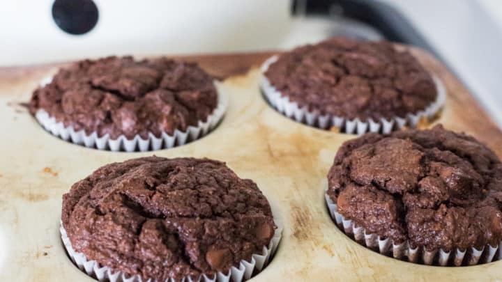 keto double chocolate chip muffins, keto double chocolate chip muffin recipe, keto coconut flour muffins, keto almond flour muffins, keto chocolate muffins, keto chocolate muffins recipe, keto almond flour muffin recipe, the hungry elephant,