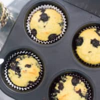 Keto Blueberry Muffins