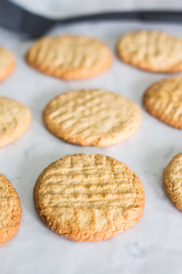 keto peanut butter cookies, keto peanut butter cookie recipe, best keto peanut butter cookies, best keto peanut butter cookie recipe, keto peanut butter cookies almond flour, keto peanut butter cookies easy, low carb peanut butter cookies, low carb peanut butter cookie recipe, low carb peanut butter cookies almond flour, how to make keto peanut butter cookies, sugar free peanut butter cookies, sugar free peanut butter cookies recipe,