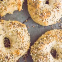 Keto Everything Bagels