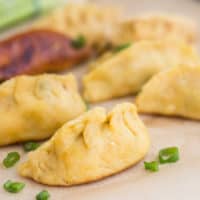 Keto Dumplings (Potstickers)