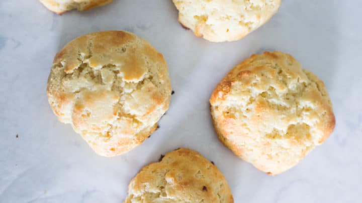 keto buttermilk biscuits, low carb buttermilk biscuits, keto buttermilk biscuits recipe, low carb buttermilk biscuits recipe, how to make keto buttermilk, keto buttermilk, low carb buttermilk, the hungry elephant,