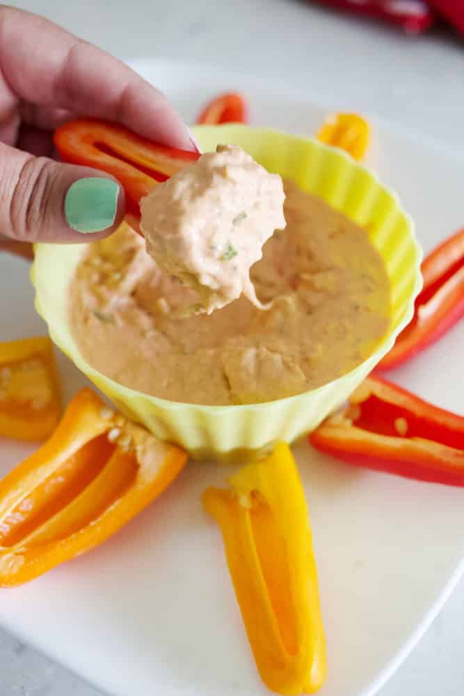 goat cheese dip,goat cheese dip for veggies,goat cheese dip recipes,goat cheese dip easy,goat cheese dip recipes cold,low carb goat cheese appetizer,keto goat cheese recipes,keto goat cheese dip,low calorie cheese dip,tomato and goat cheese dip,tomato and goat cheese,tiktok pasta,tiktok pasta but dip,the hungry elephant